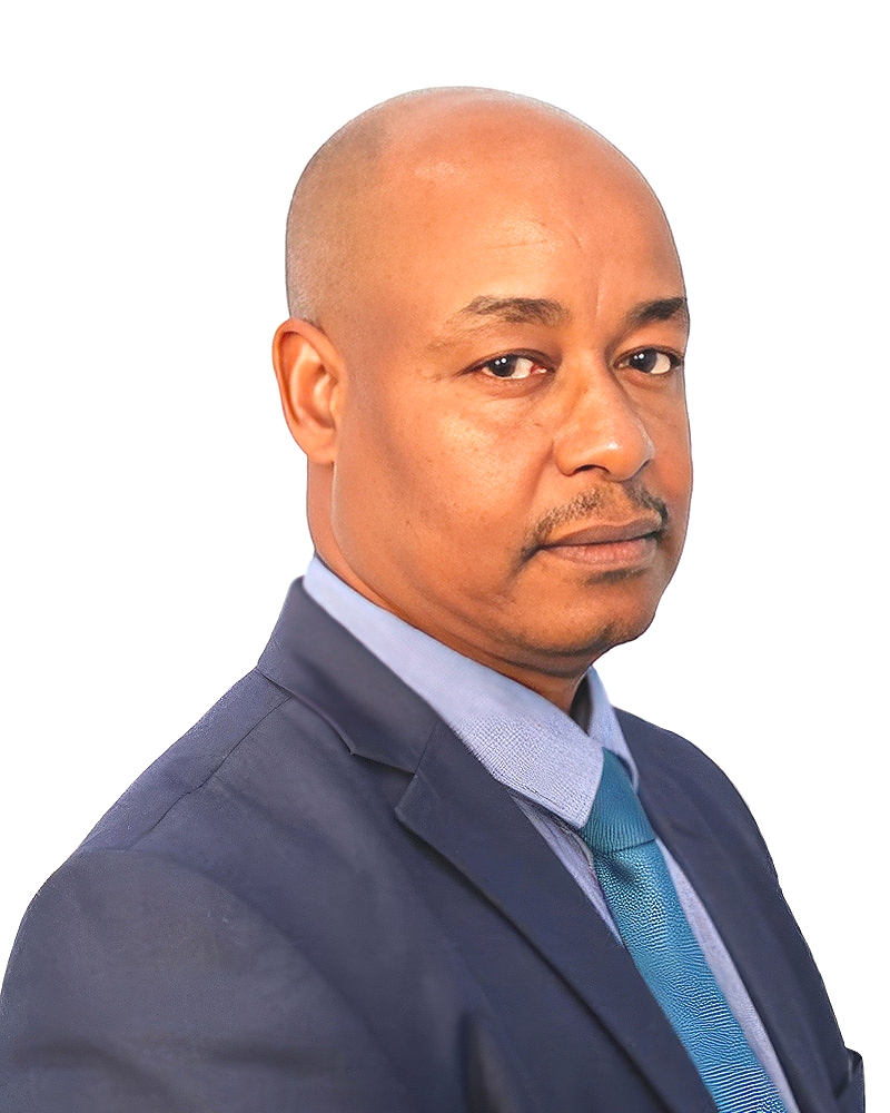 Mr. Adolph Timoth Kasegenya - Director of Finance - NHC